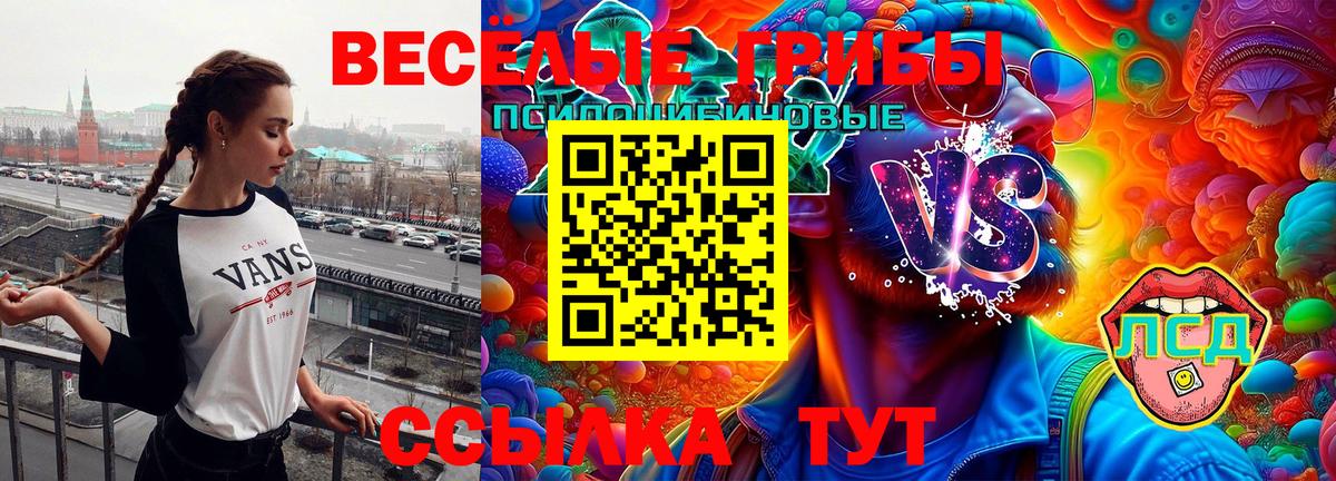 Златоуст  Псилоцибиновые грибы GOLDEN TEACHER  Вход с VPN  Галлюциногенные грибы MAGIC MUSHROOMS 